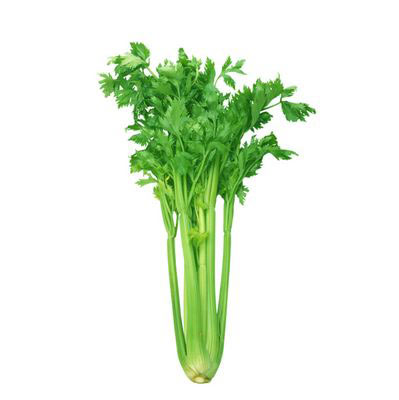 美白牙齿10种食物