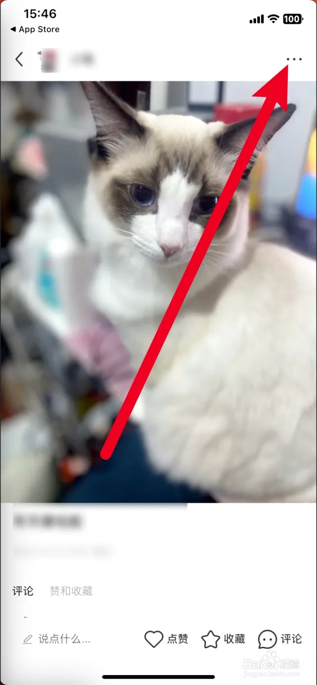 小红书怎么推广