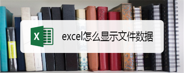 excel怎么显示文件数据