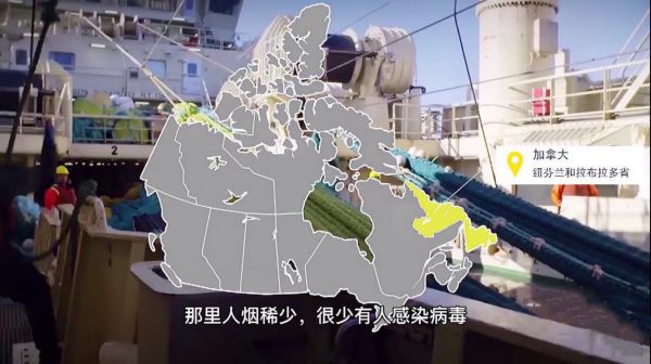 百香果酸辣加拿大北极虾