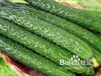 耳朵冻伤了怎么办