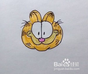 简笔画：加菲猫头像