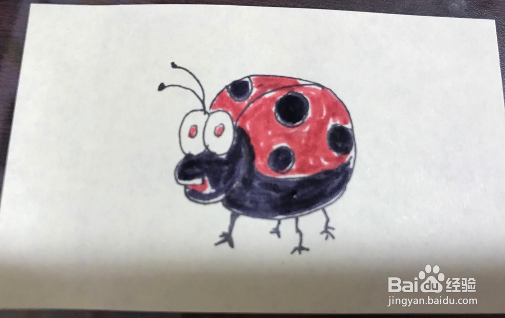 <b>如何绘制一只卡通瓢虫</b>