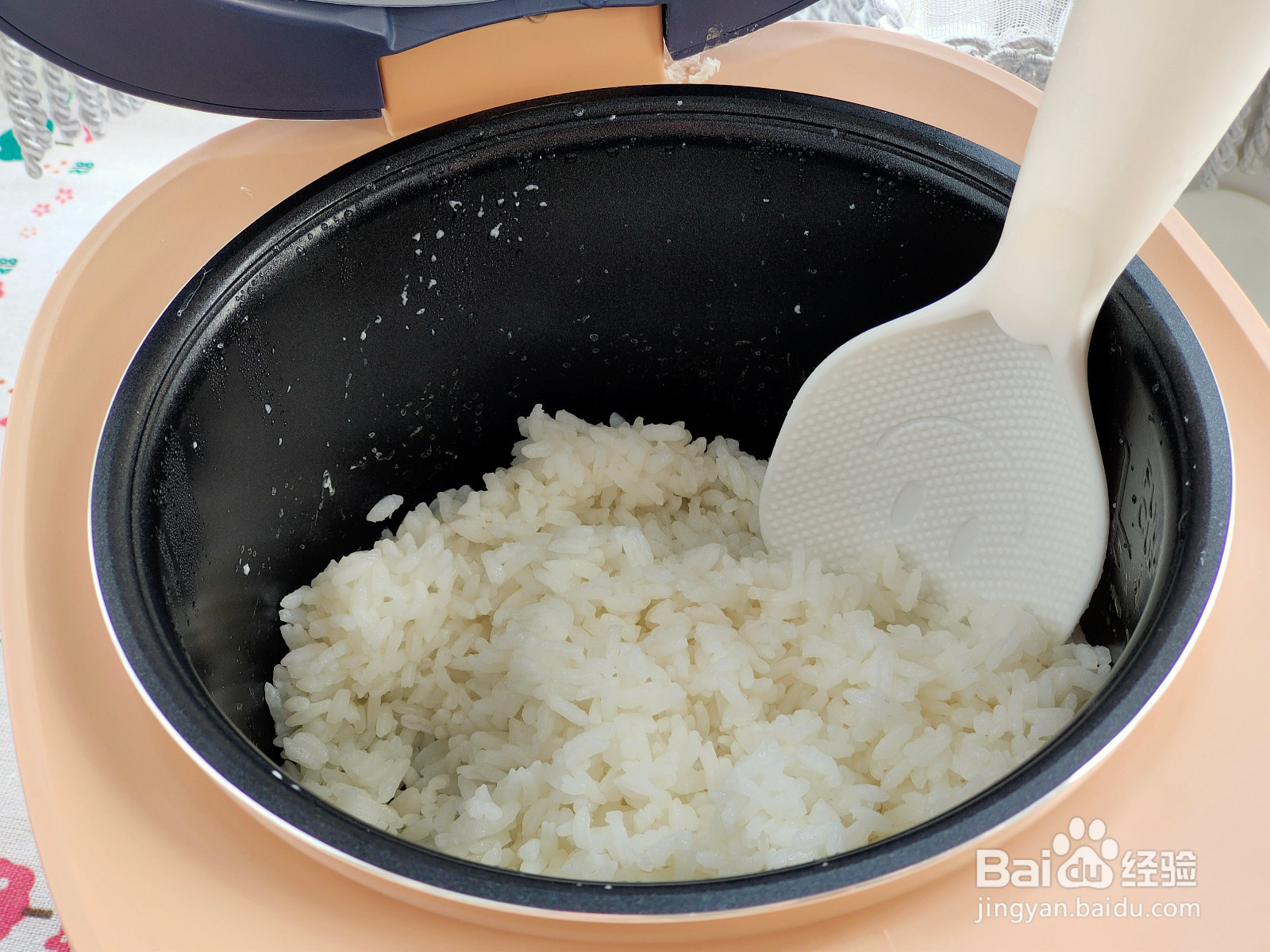 海苔肉松饭团的做法