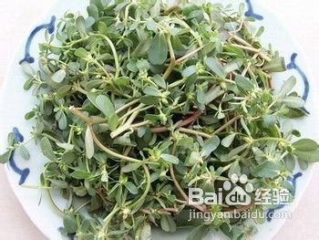 导致流产的食物有哪些