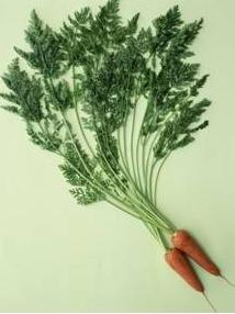 排毒养颜五大招