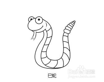 蛇的舌头的作用