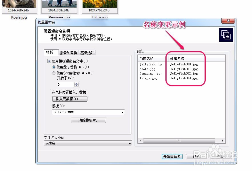 acdsee如何批量(大量多张)重命名(修改名称)图片