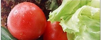 头发掉的厉害吃什么