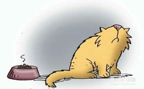 天气热狗狗不怎么吃东西怎么办