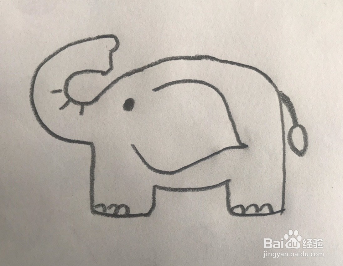 【简笔画】大象的分步画法