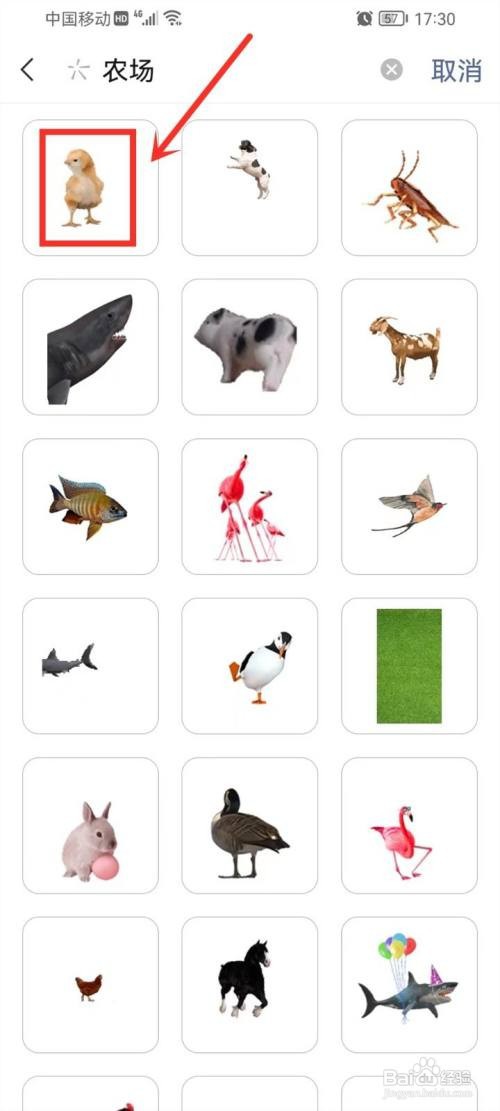 微信小动物表情如何输入