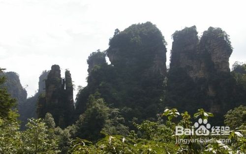 张家界旅游线路(图文细化版)