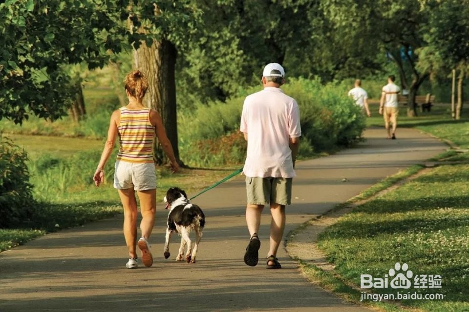 类风湿关节炎”你中招了吗“沙棘叶人参粉有效吗