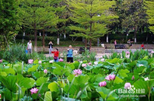 防疫期间，如何让民众能放心进行户外锻炼呢？