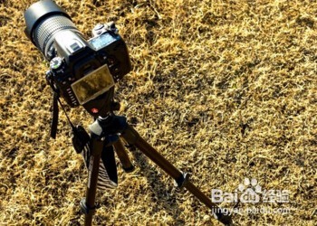 一个人旅游如何拍照