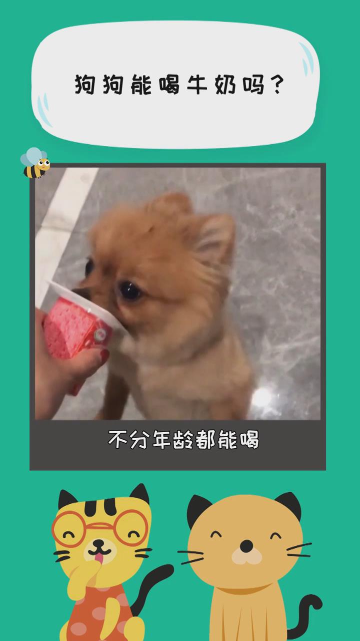 狗狗能喝牛奶吗