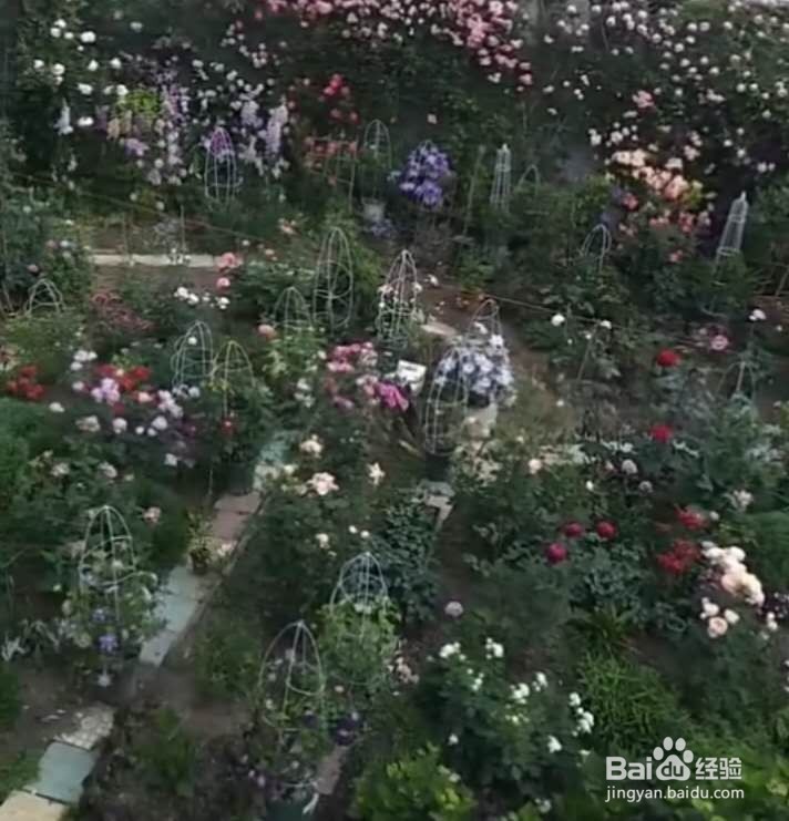 乡间的暑假生活攻略