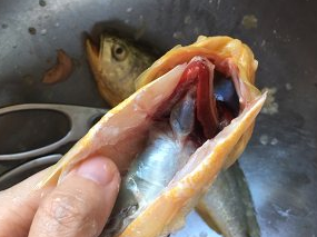 怎样做出堪比外卖的红烧黄花鱼步骤