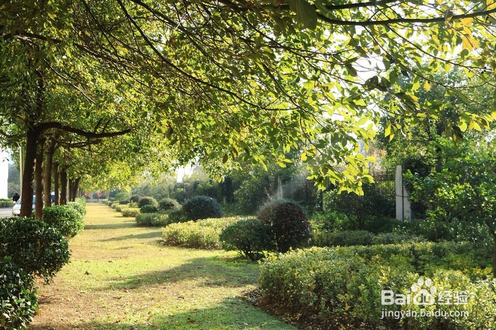 投资哪些东西能保值增值