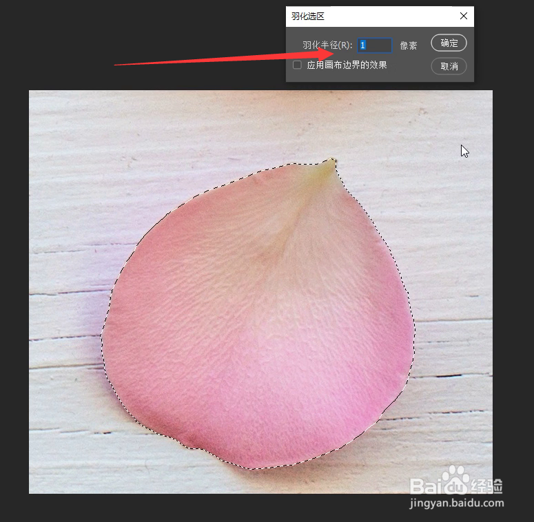 PS怎样制作花瓣画笔预设批量画花瓣