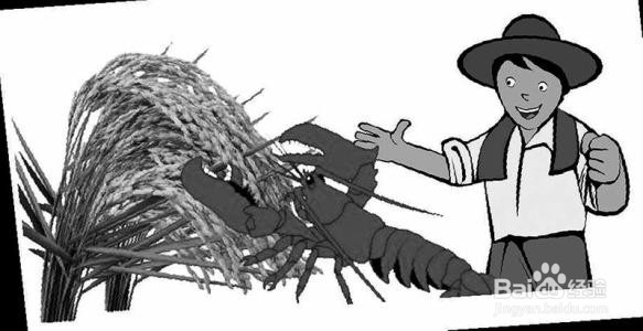 如何发挥养护站职工积极性