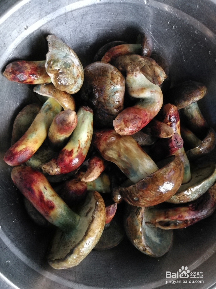 无法抵挡的美味牛肝菌