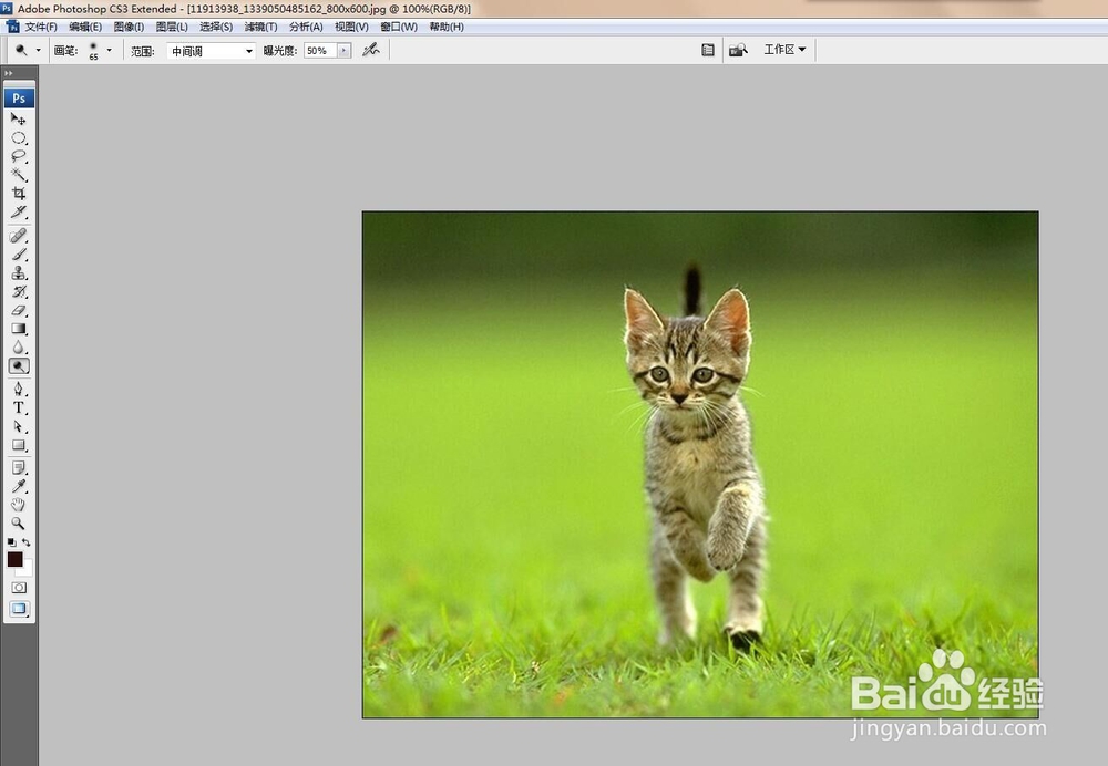 ps中抽出滤镜如何使用？