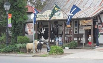 学院街攻略：[57]阿德雷德大学娱乐攻略