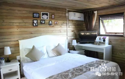 投资小型宠物店如何才能赚钱