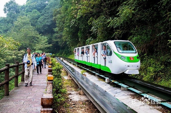 庆阳到张家界自驾游