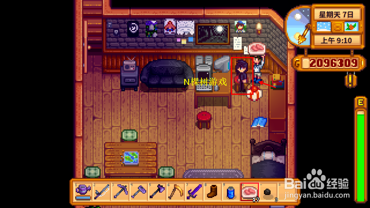 星露谷物语塞巴斯蒂安攻略