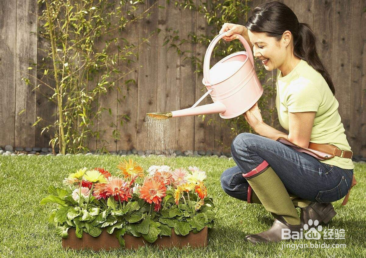 雨水收集后怎么保存浇花