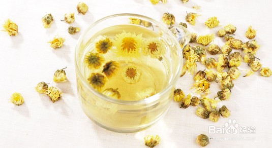 来例假能喝菊花茶吗