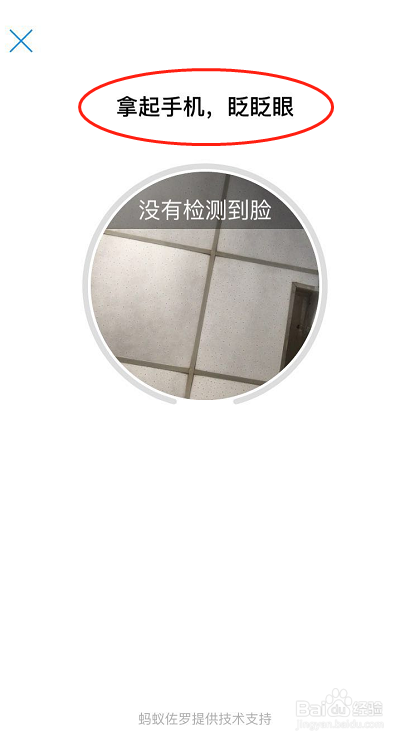 怎么在支付宝查看公积金缴费明细