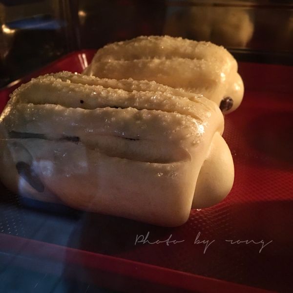 葡萄干浓香牛奶哈斯