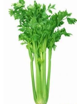 怎样在秋季更好的排毒去脂肪