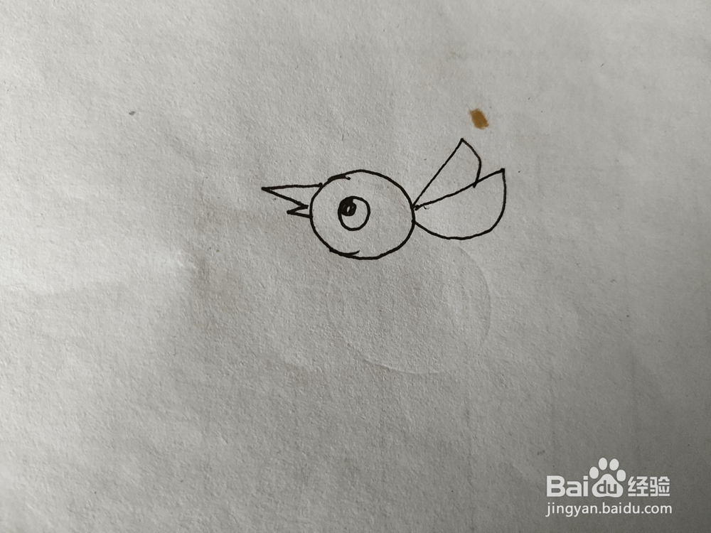 怎么一分钟画飞翔的小鸟简笔画