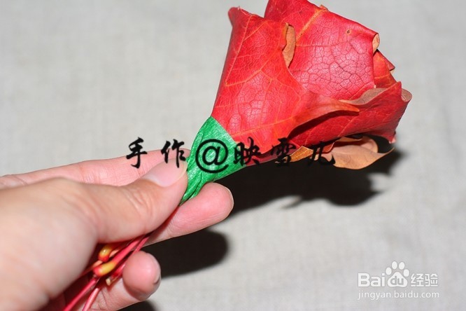 如何用叶子做玫瑰花