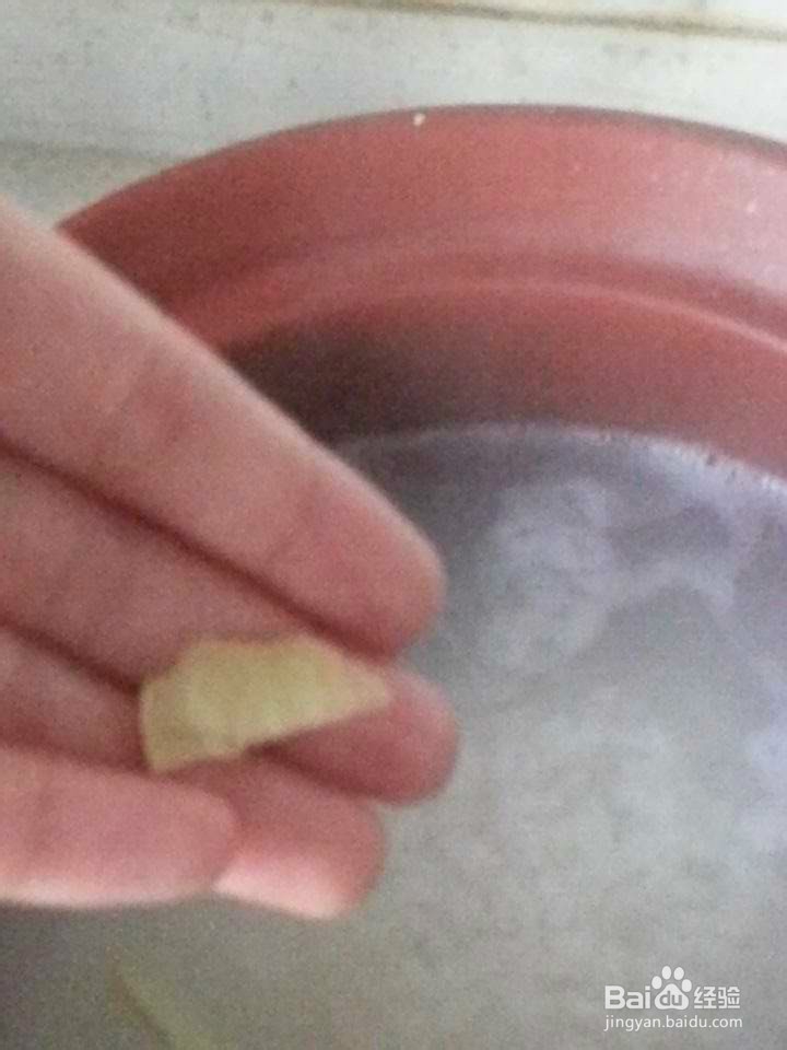 每天一碗好粥：[7]皮蛋瘦肉粥