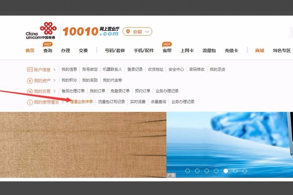 联通卡怎么查询手机上所有的业务
