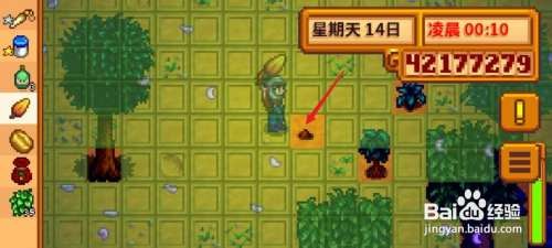 星露谷物语硬木怎么获得