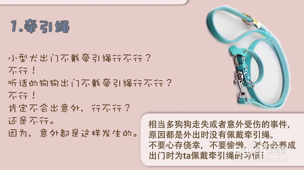新狗狗进家前必须备齐的7种物品