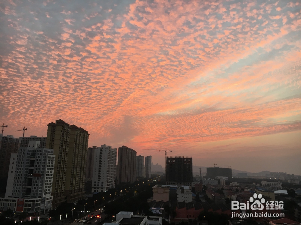 北海海鲜小吃攻略