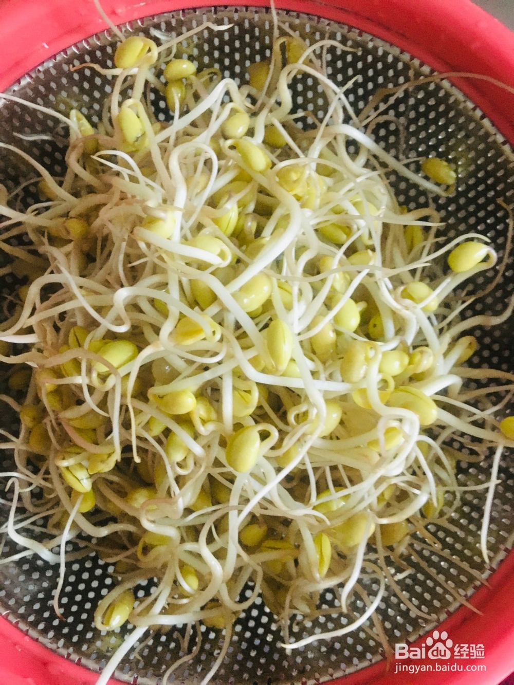 瘦肉炒黄豆芽的做法