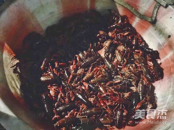 麻辣小龙虾的做法