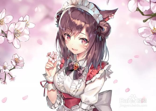 零基础学插画需要学习哪些？