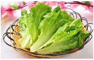 蚝油生菜怎么做