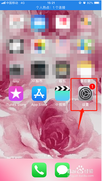 苹果safari打不开网页怎么办