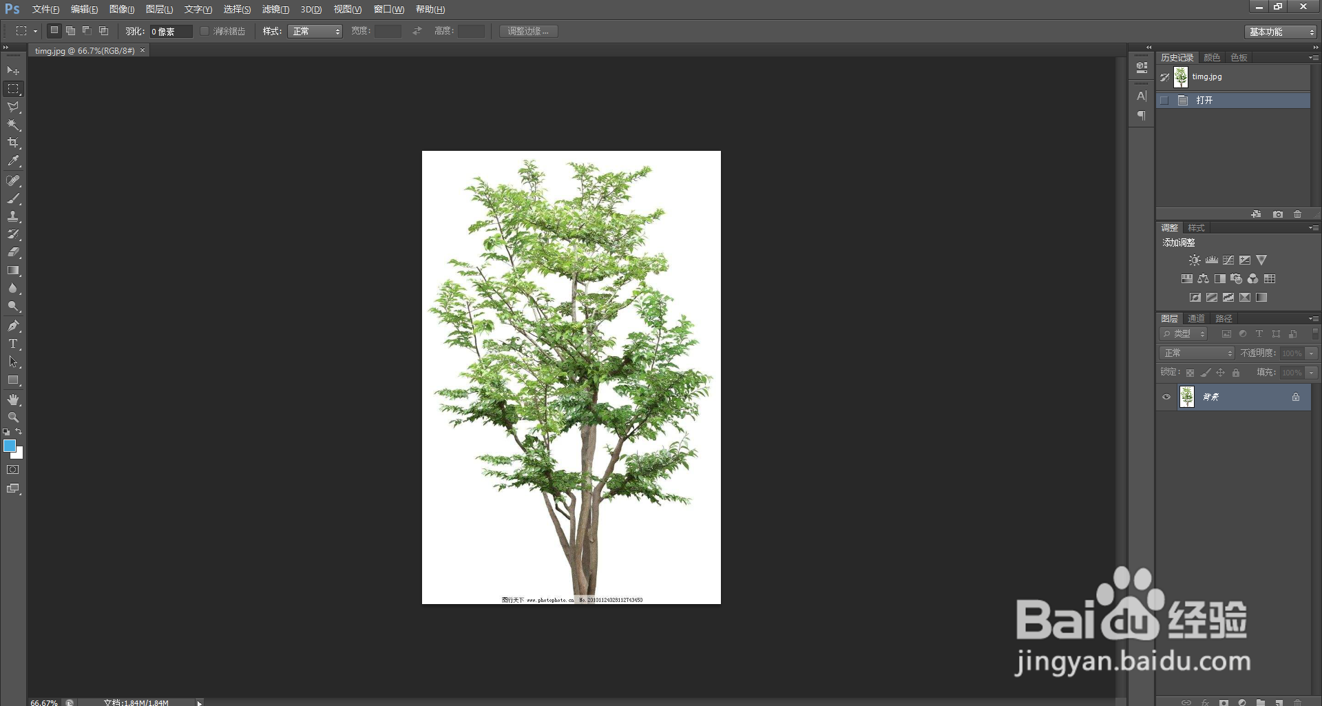 如何自制SketchUp中的植物模型素材